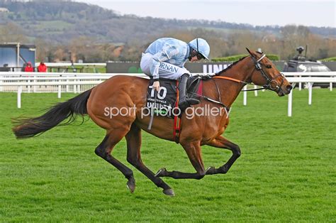 Cheltenham Festival 2022: Honeysuckle and Rachael Blackmore .